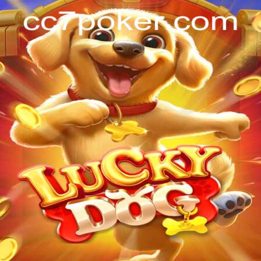 Exploring LuckyDog: The Thrilling Adventure with CC7
